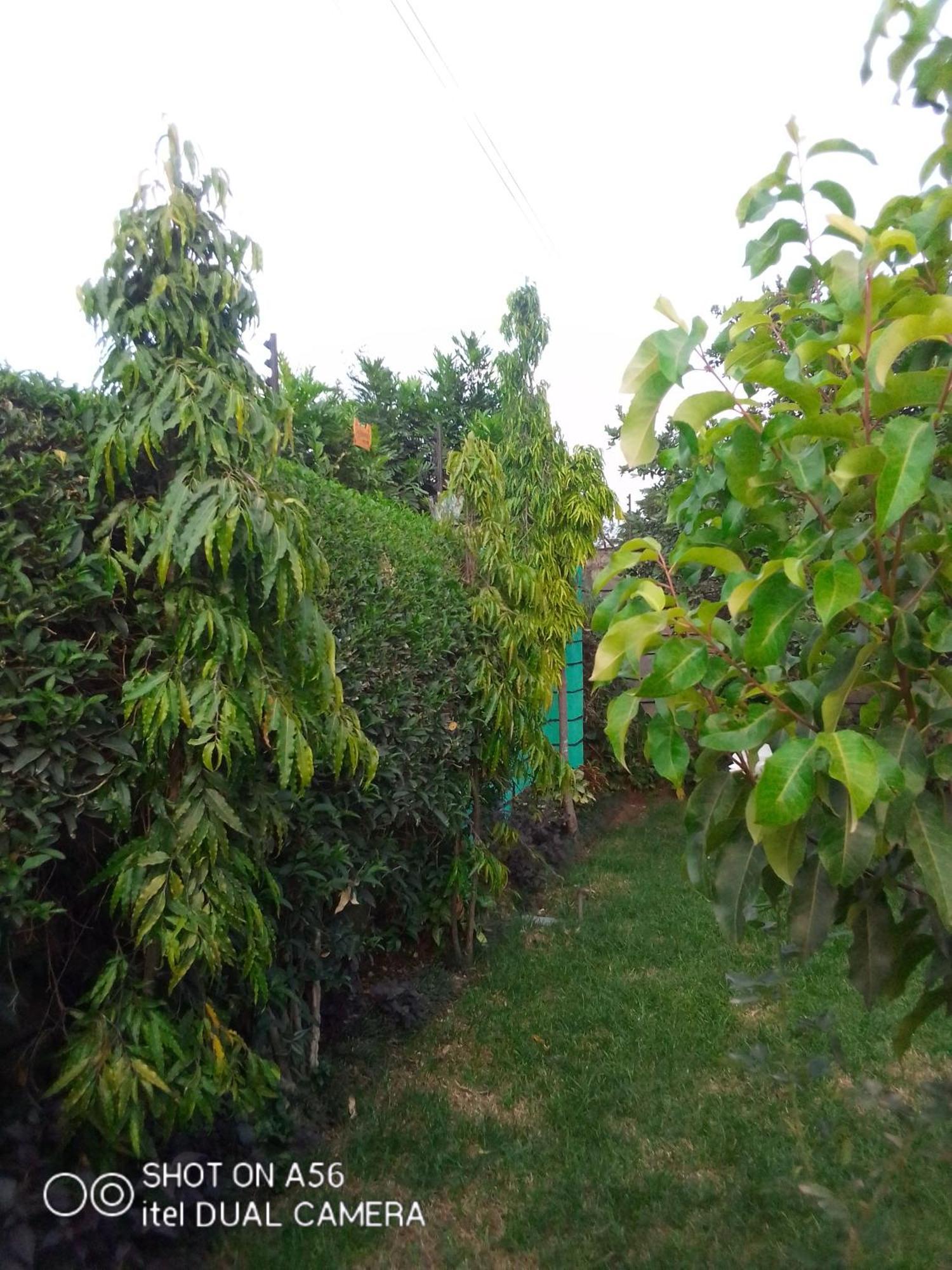 Bernkish Homes Nakuru Rum bild